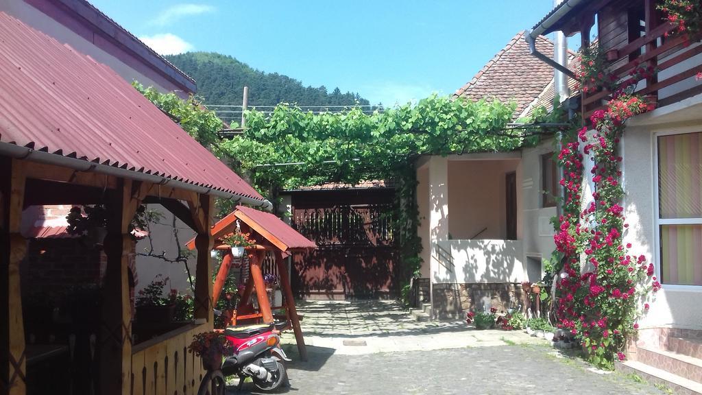 Pensiunea Razvan Gura Rîului Exterior foto
